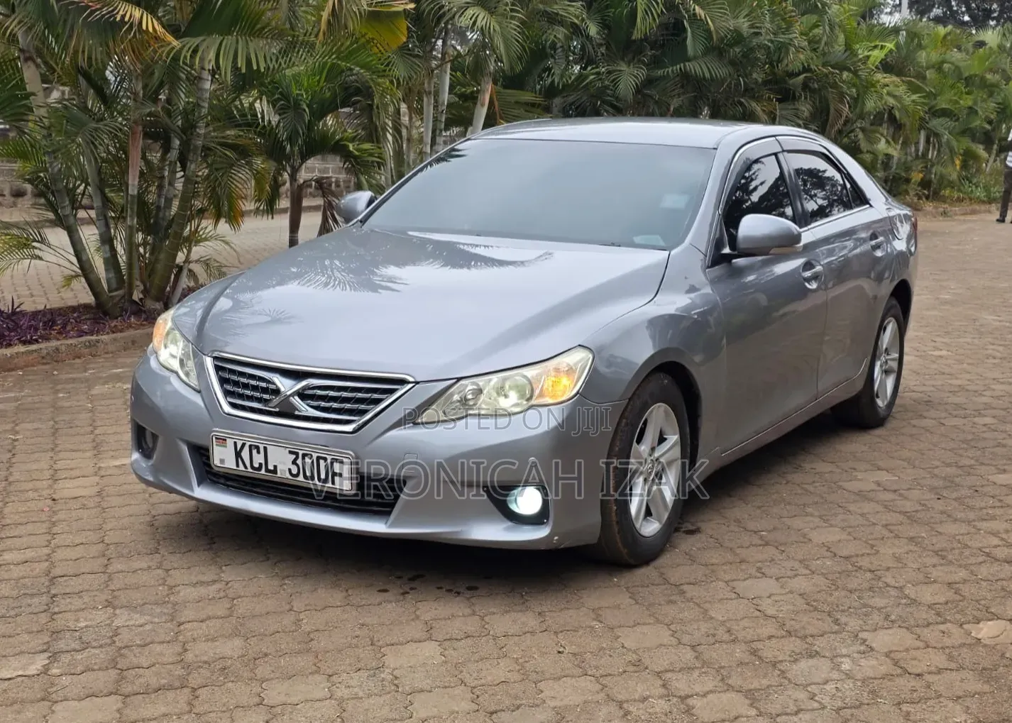 Toyota Mark X 2010 Silver