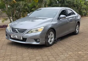 Toyota Mark X 2010 Silver
