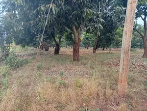 Prime 2 Acres for Sale – Makuyu Pundamilia