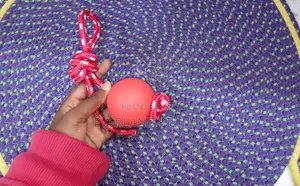 Dog Training Rope Tug Toy