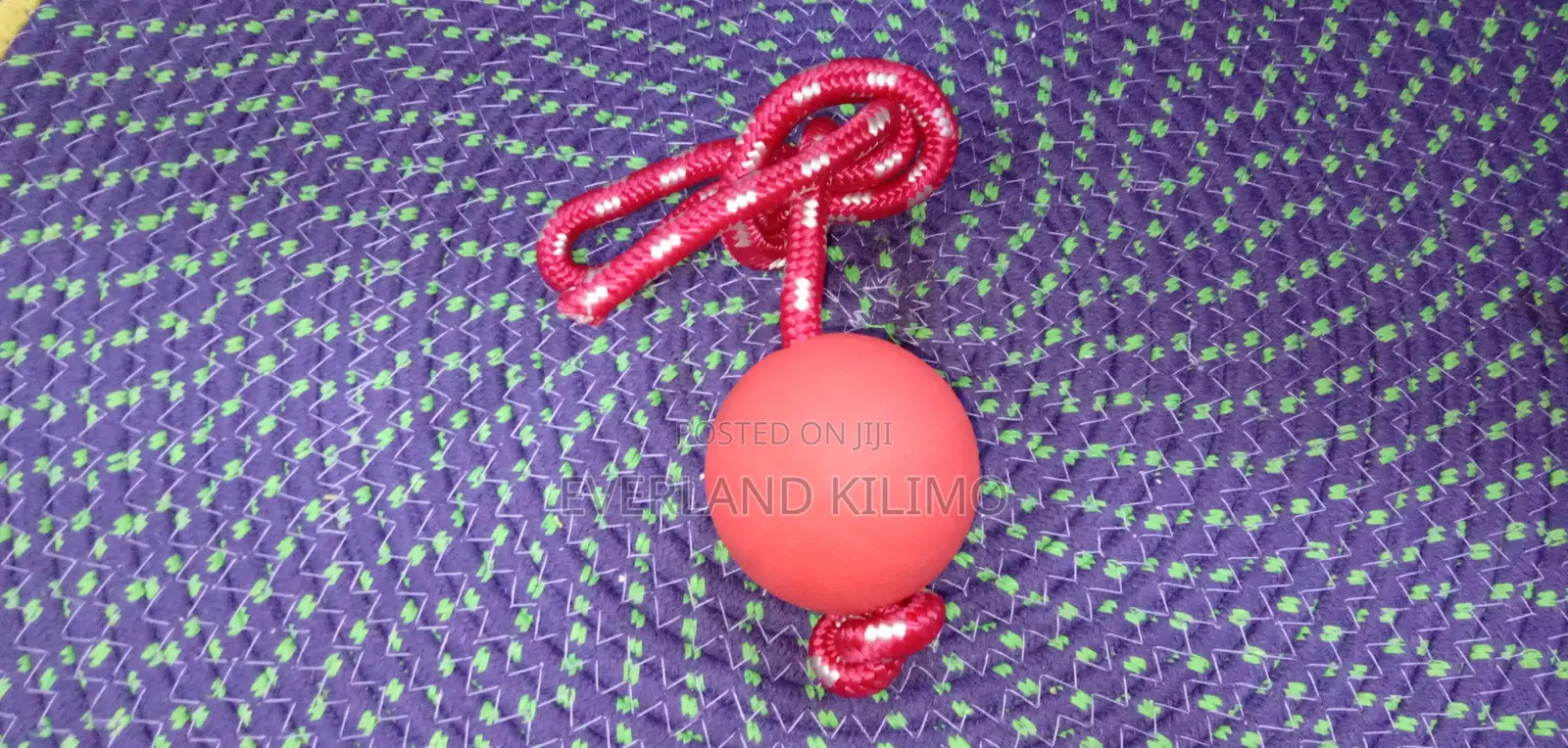 Dog Ball on a Rope