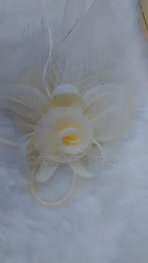 Fascinators Different Colours