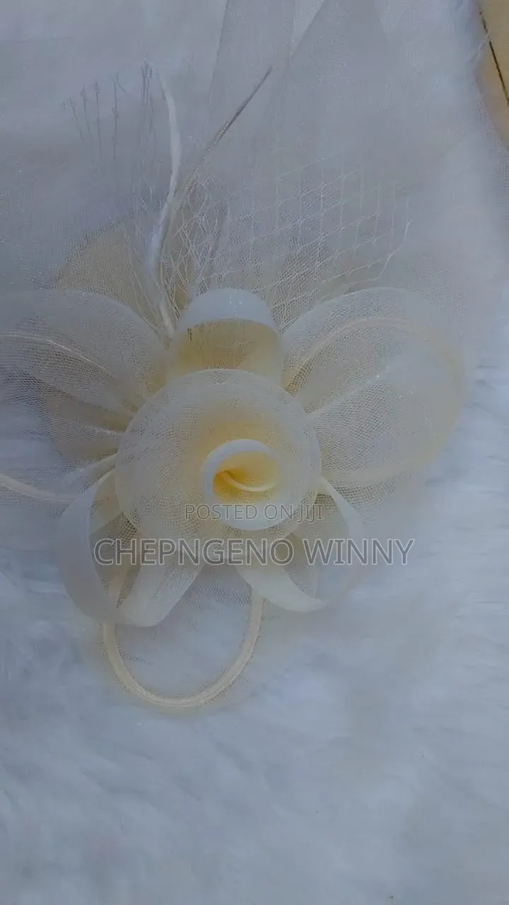 Fascinators Different Colours