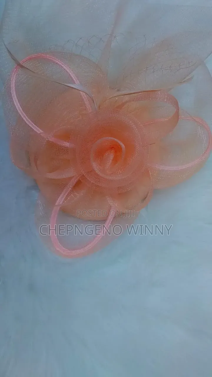 Fascinators Different Colours
