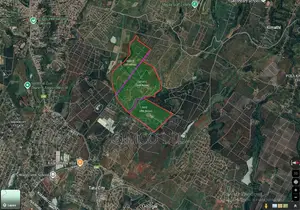 551acre Land for Sale Near Tatu City