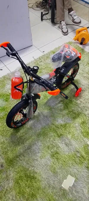 Beijing Bicycle Size 12