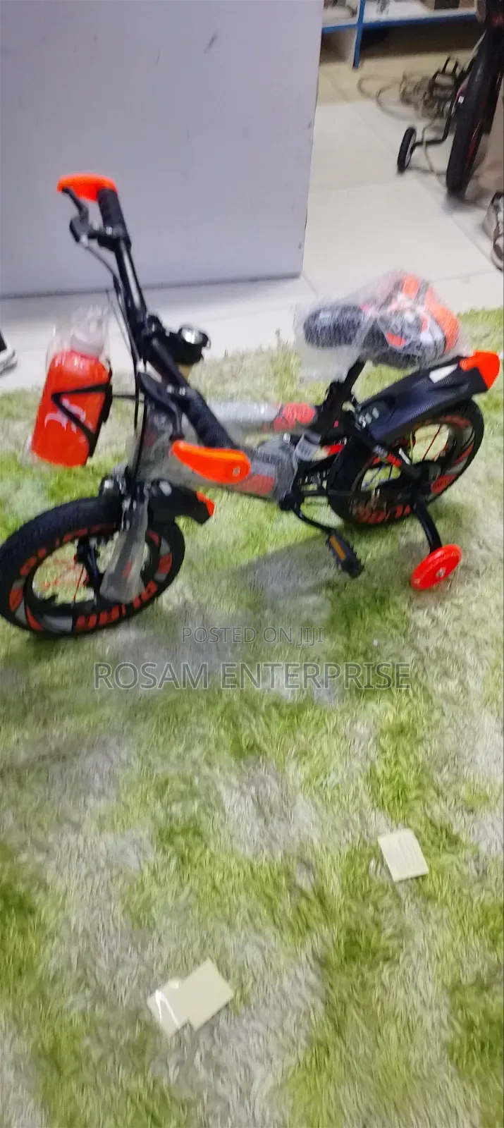 Beijing Bicycle Size 12