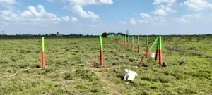 Mwalimu Farm Phase 7