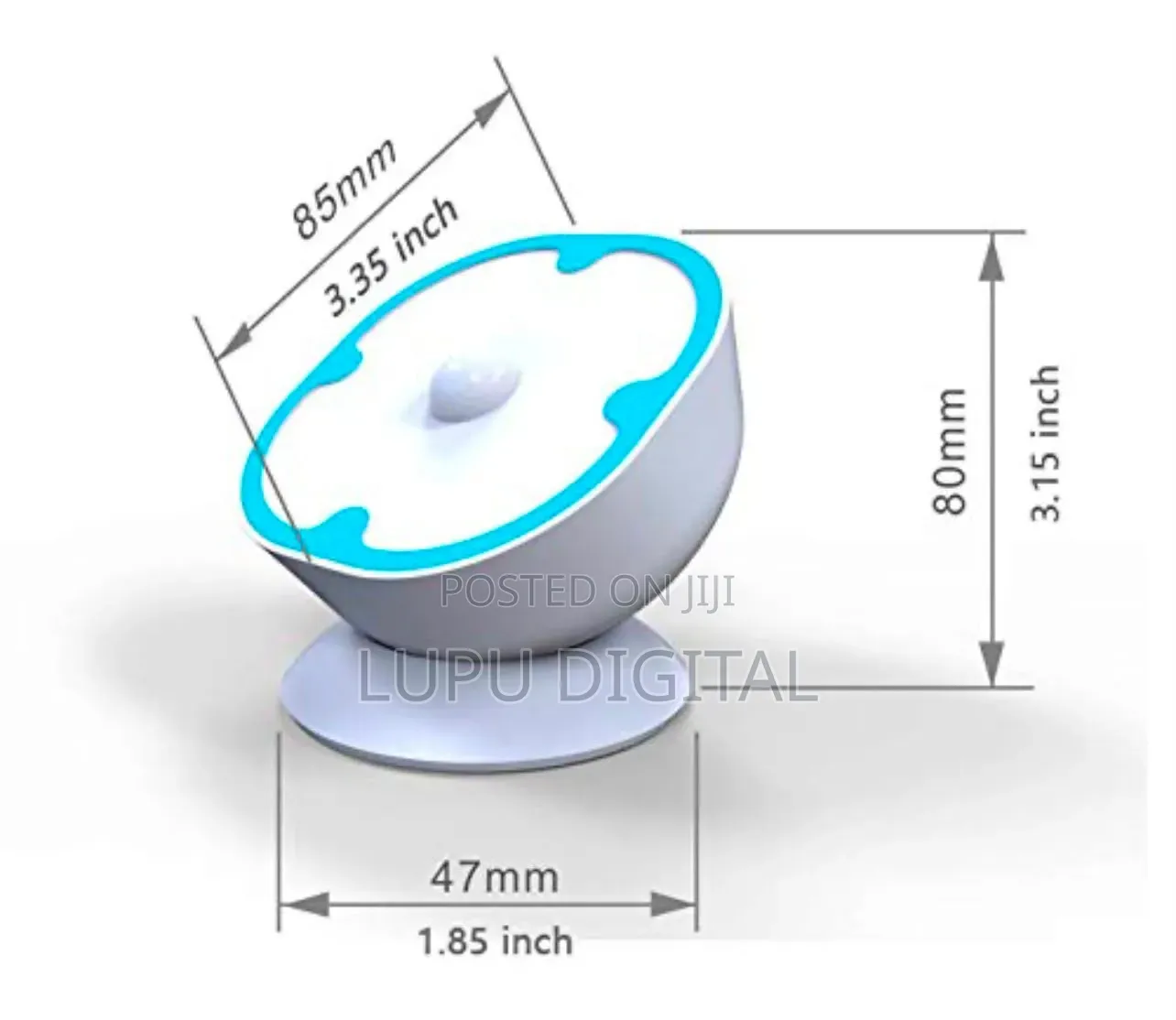 360^ Human Body Induction