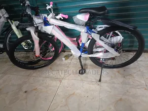 Flexible 26-Inch Mountain Bike With Disc Brakes