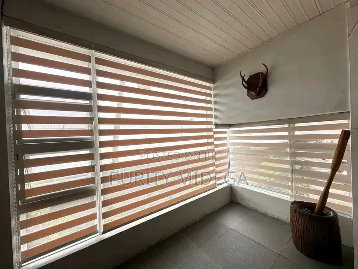 Zebra Blinds Horizontal Blinder for Offices