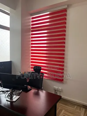 Zebra Blinds Horizontal Blinder for Offices