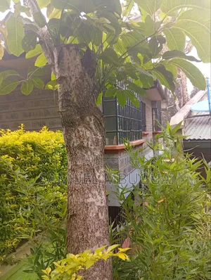 3bdrm Bungalow in Kare, Karen for rent