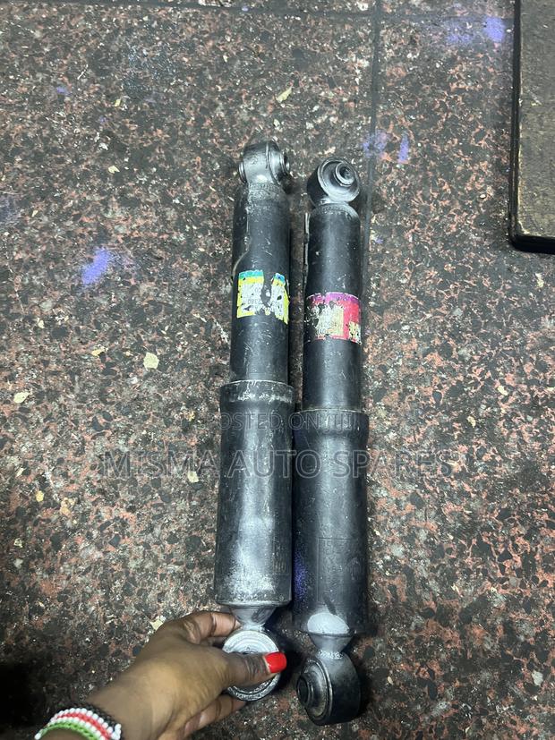 Rear Shocks Vanguard - thumbnail 2