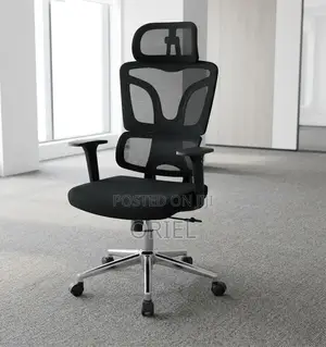 Office Chair : High-Back Office Orthopedic Chair