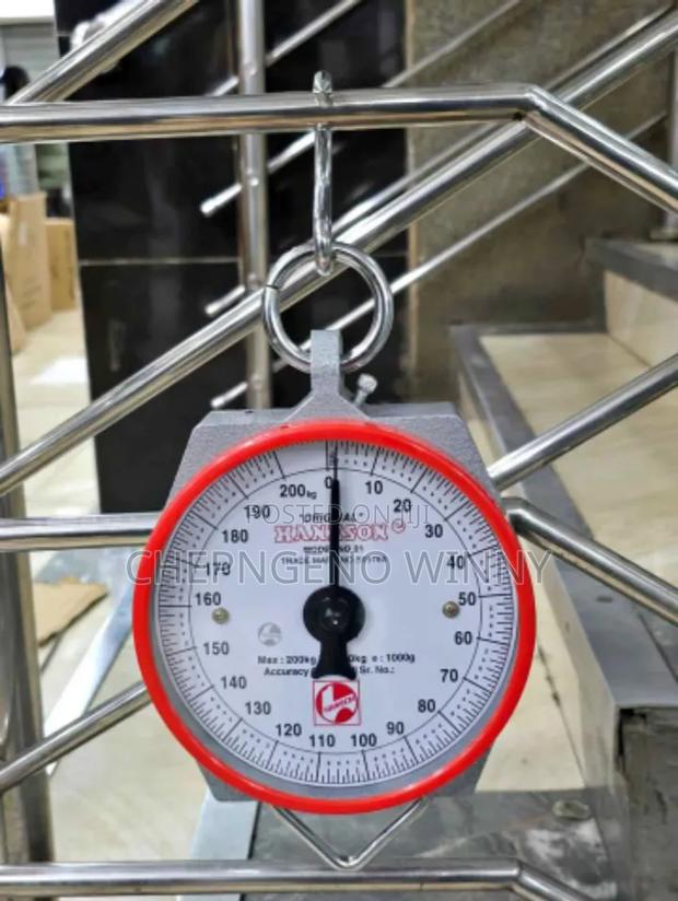 Original Hanson Hanging Scale - thumbnail 2