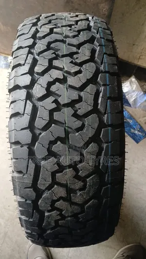 255/55r19 BF Comforser Tyres