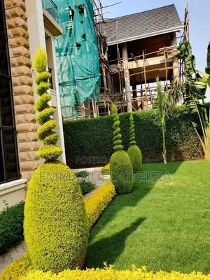 Landscaping and Cleaning Services