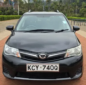 Toyota Corolla Fielder 2010 Black