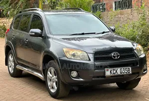 Toyota RAV4 2010 Gray