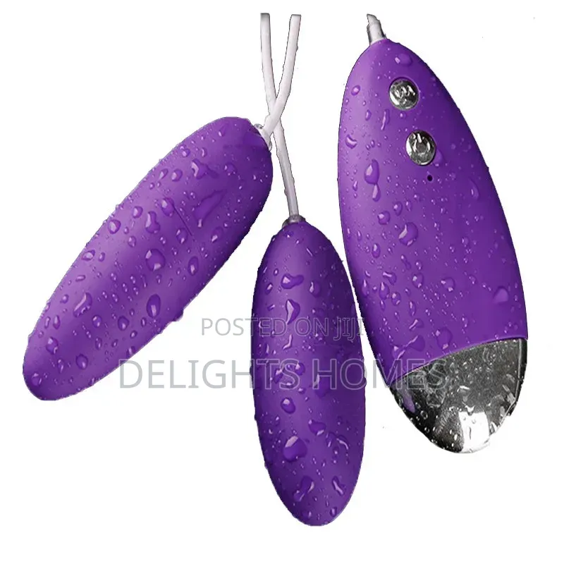 *Dual Egg Vibrator_re