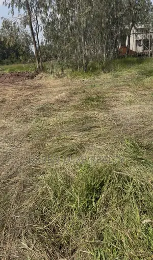 Commercial Prime 1⁄2 Acre Land for Rent – Karen