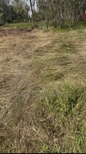 Commercial Prime 1⁄2 Acre Land for Rent – Karen