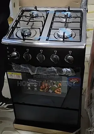 Ecomax 50*55 Standing Cooker