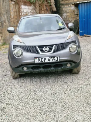 Nissan Juke 2011 Gray
