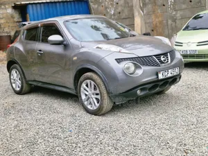 Nissan Juke 2011 Gray