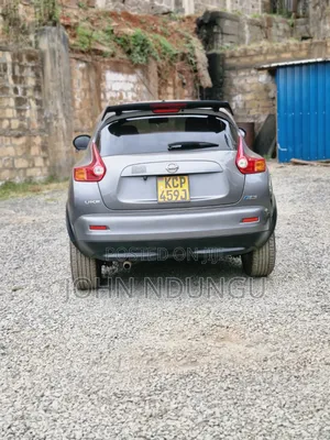 Nissan Juke 2011 Gray