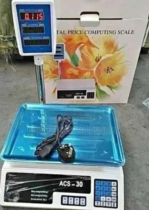 Most Accurate Digital Weighing Scale Acs 30/ Digital Platform Scale