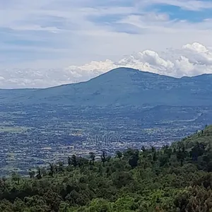 Very Prime 3.25acres for Sale Near Kijabe With View of Rift Valley