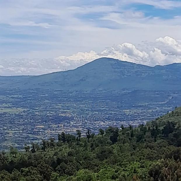 Very Prime 3.25acres for Sale Near Kijabe With View of Rift Valley