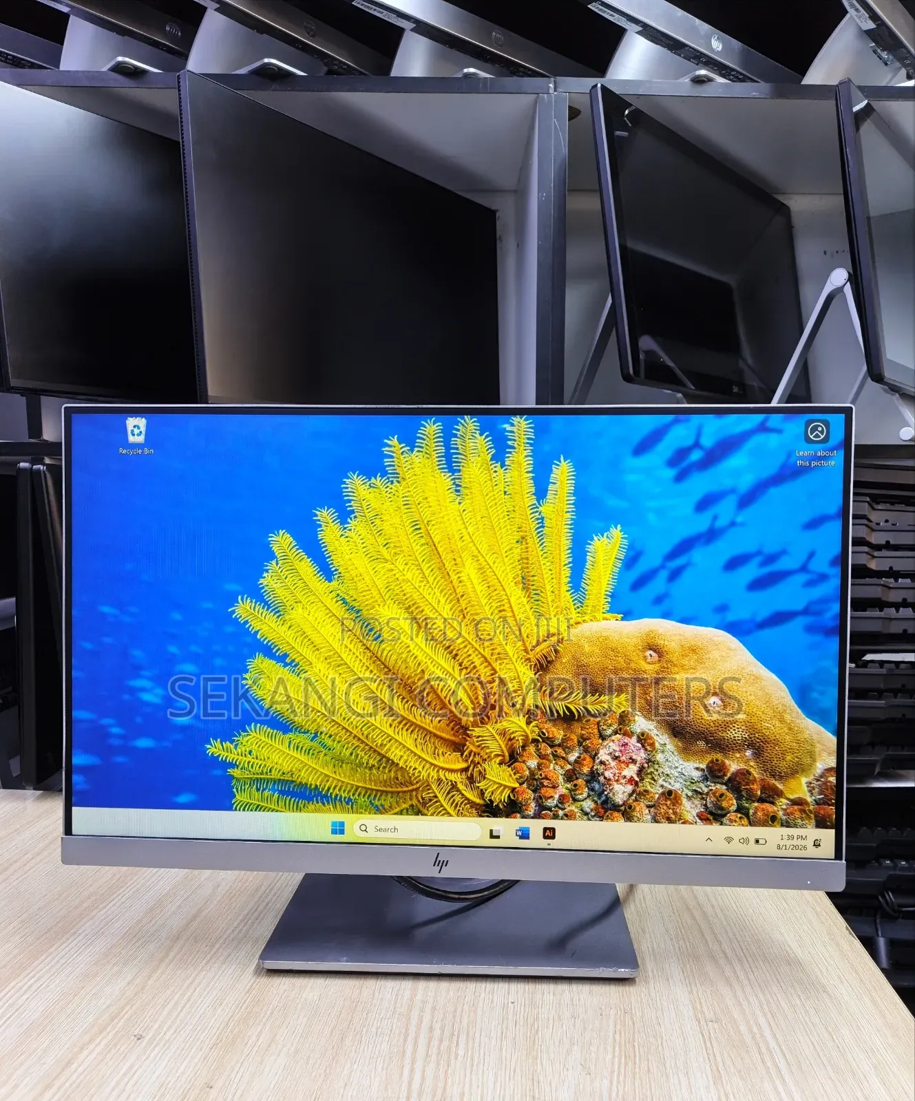 HP E223 Monitor