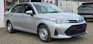 Toyota Axio 2019 Silver