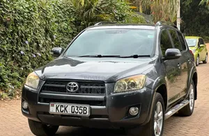Toyota RAV4 2010 Gray