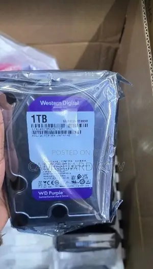 WD 1TB Surveillance HDD Hard Drive