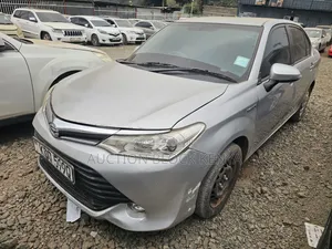 Toyota Axio 2019 Silver