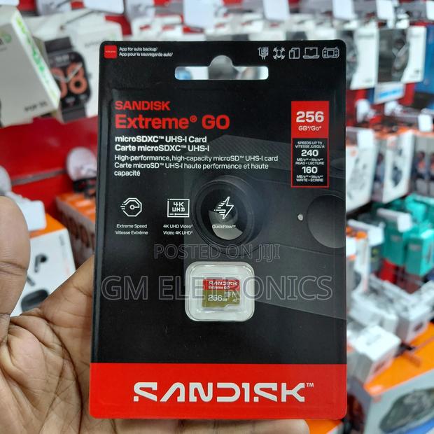 SANDISK Extreme GO microSDTM UHS-I Card - 256GB. - main view