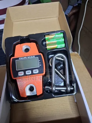 300kg Mini Crane Scale