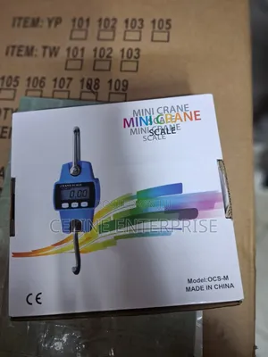 300kg Mini Crane Scale