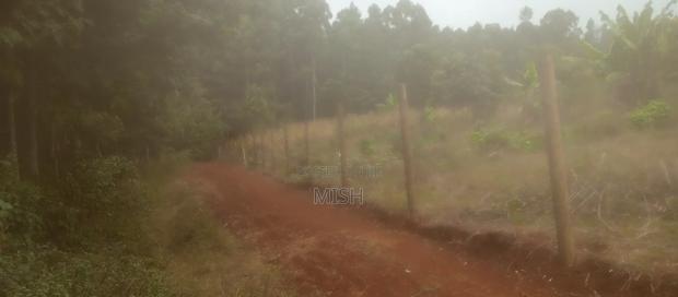 Prime Land Touching Permanent River in Mathira - thumbnail 2