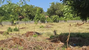 2nd Row Beach Property Kilifi Bofa 1acre Land