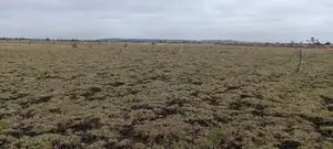 Land for Sale in Juja-Kiambu County