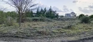 50 by 100 Land