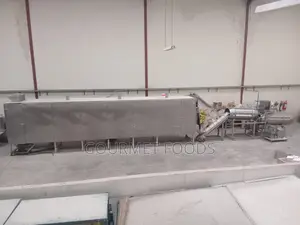 Twin-Screw Extrusion Feed Processing Line for Sale