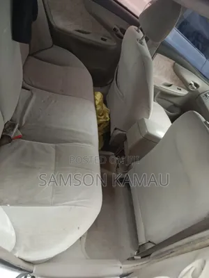 Toyota Axio 2009 Gray