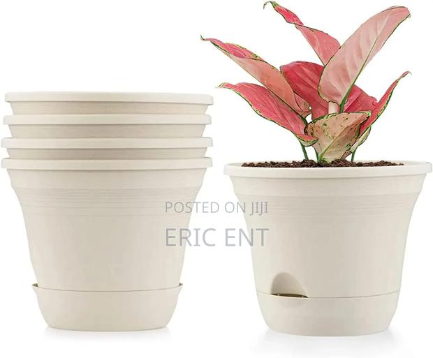 Plastic Flower Pot/ Planter - thumbnail 2