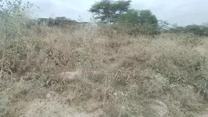 Residential Land for Sale